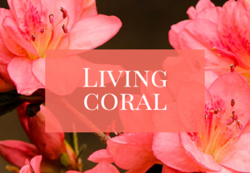 **Living Coral**